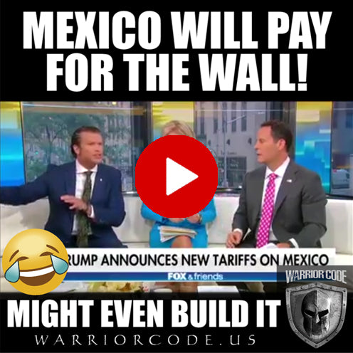 Mexico will pay for the wall, might even build it!